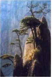 Paisaje Lijian